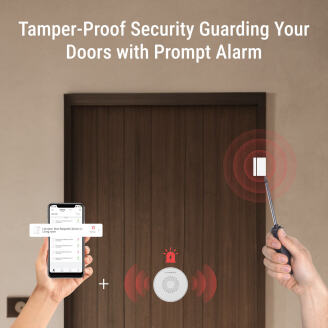 Door Sensor